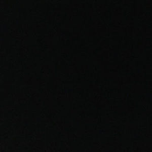 Meet your Posher, Bianca